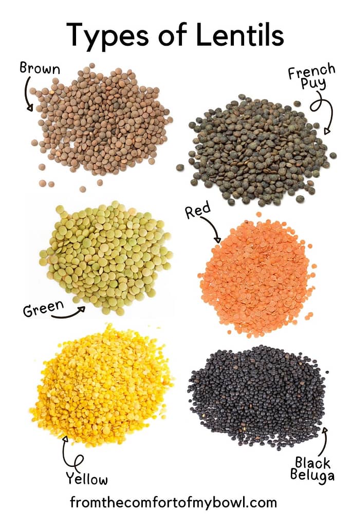 10 Best Vegetarian Protein Sources to Supercharge Your Muscle Gains