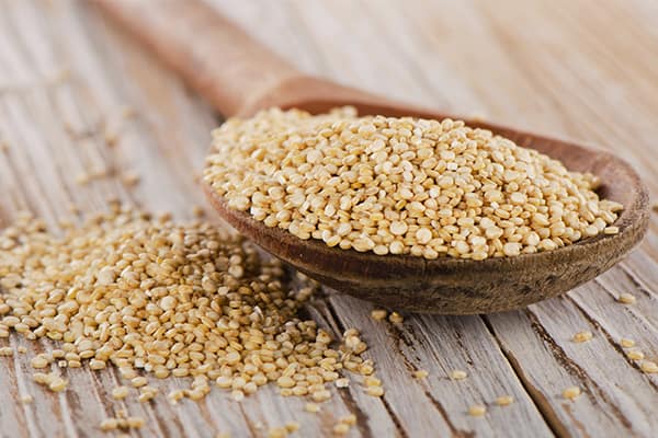 10 Best Vegetarian Protein Sources to Supercharge Your Muscle Gains
